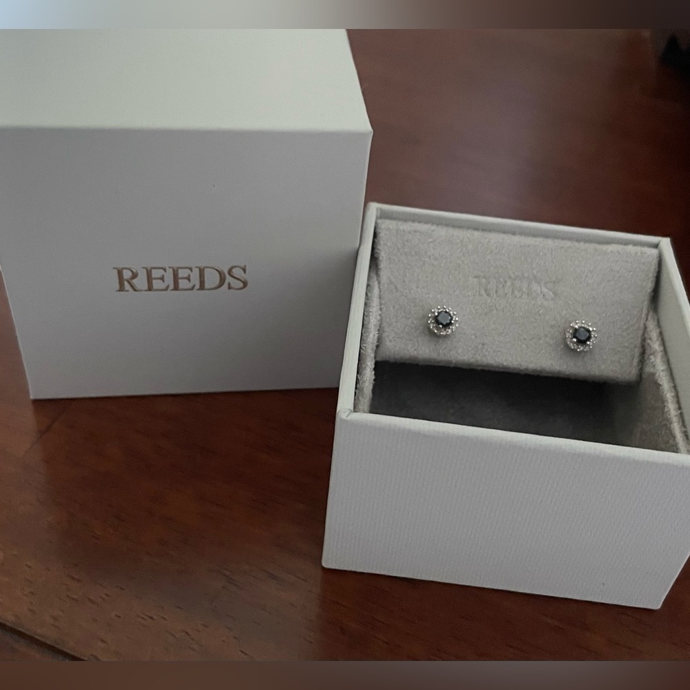 ✨Reeds Black Diamond Earrings✨